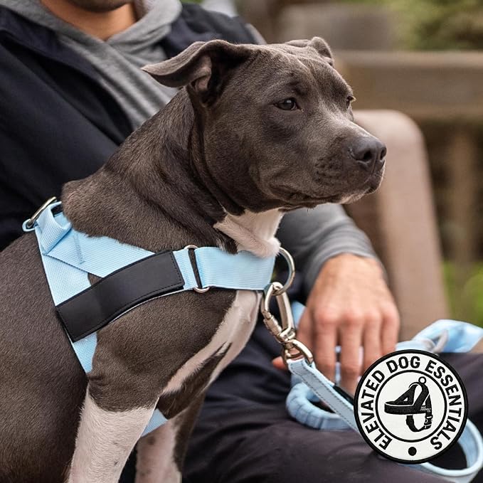 Dog Friendly Co. Dog Harness for Small Dogs (Sky Blue, Extra Small) | One Click Buckle, Chafe Resistant Webbing, Adjustable Neck & Chest, and Heavy Duty D-Ring, Sturdy Comfortable and Easy to Use
