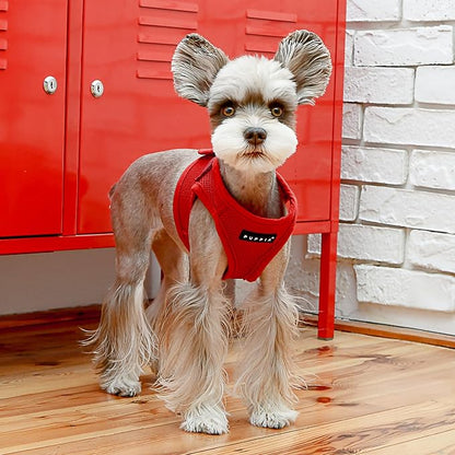 PUPPIA International PUAH305WNLG Soft Harness B Vest, Large