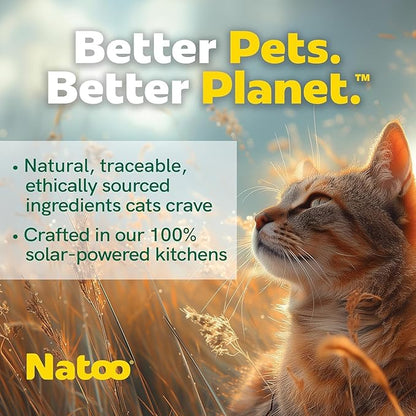 NATOO Cat Food Topper for Picky Eaters, Healthy Soft KittyTreat (Chicken, Sweet Potato & Broccoli) Wet Cat Meal with Gravy, High Protein, Limited Ingredient Adult & Kitten Food, 2.4 oz (Case of 20)