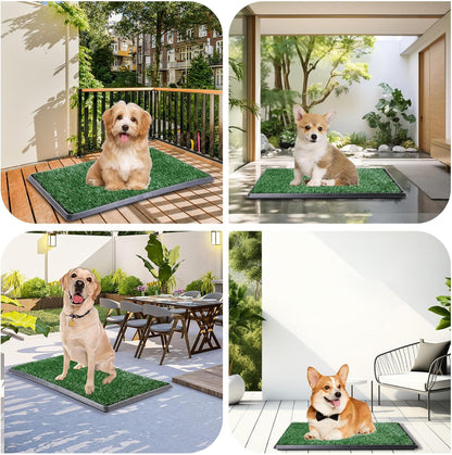 LOOBANI Dog Grass Pad with Tray Large Dog Litter Box, Indoor Potty for Apartment and Patio Training, with 2 Packs Fake Grass Pee Pads for Replacement (Tray Potty 23.6 * 35.5inch)