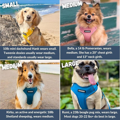 Adventure Dog Harness - Stylish and Durable Medium Dog Harness for Outdoor Adventures and Everyday Wear - Indigo Blue Neoprene Adjustable Harness for Dogs with Reflective Piping, Brass D-Ring