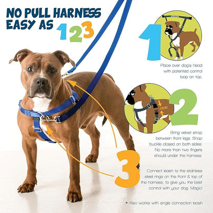 2 Hounds Design Freedom No Pull Dog Harness and Leash, 1" XXL, Rust | Promotes Easy Walking & Comfortable Control, Secure Fit, Adjustable Harness and Leash Set for XXL Sized Dogs, Made in USA