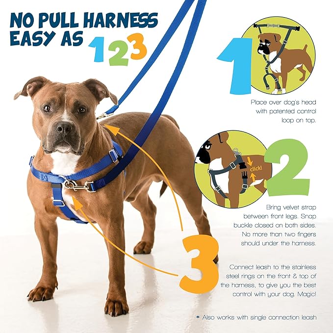 2 Hounds Design Freedom No Pull Dog Harness, 5/8 inch MD, Raspberry | Discourages Pulling, Comfortable Control Adjustable Dog Harness for Medium Sized Dogs, Made in USA (Leash Not Included)