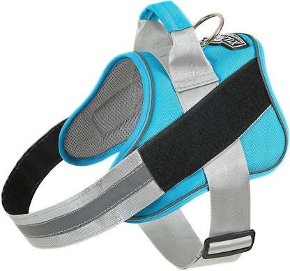 Bolux Dog Harness, No-Pull Reflective Dog Vest, Breathable Adjustable Pet Harness with Handle for Outdoor Walking - No More Pulling, Tugging or Choking (OceanicBlue, Small (Pack of 1))