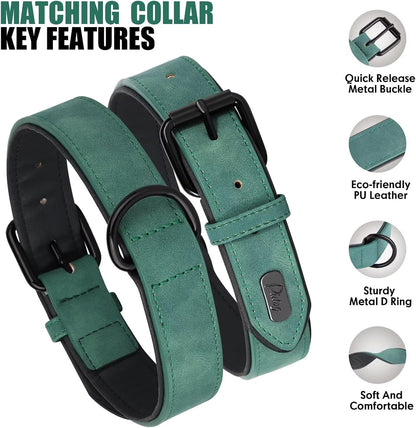 Didog Soft Padded Leather Dog Collar and Leash Set, Adjustable Dog Lead and Collar Set with Metal Buckle, Breathable Pet Collars with 4FT PU Leather Leash for Small Medium Dogs, Green, M