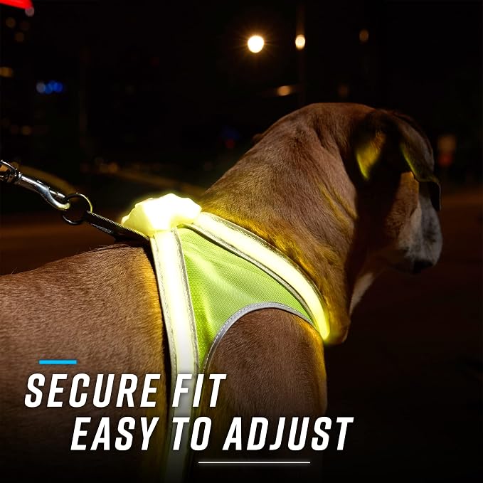 noxgear LightHound Light Up Reflective Dog Harness, Medium | 360° Light Up Reflective Dog Harness, 8 Colors & 6 Modes, USB Rechargeable, Adjustable, Rainproof, LED Fiber Optic