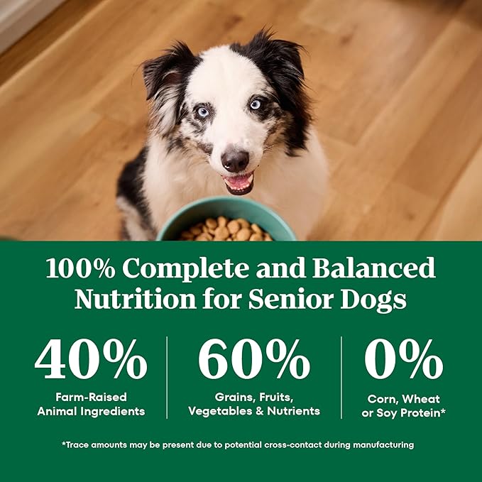 Nutro Natural Choice Chicken & Brown Rice Senior Dog Food Dry Recipe, 13 lb. Bag