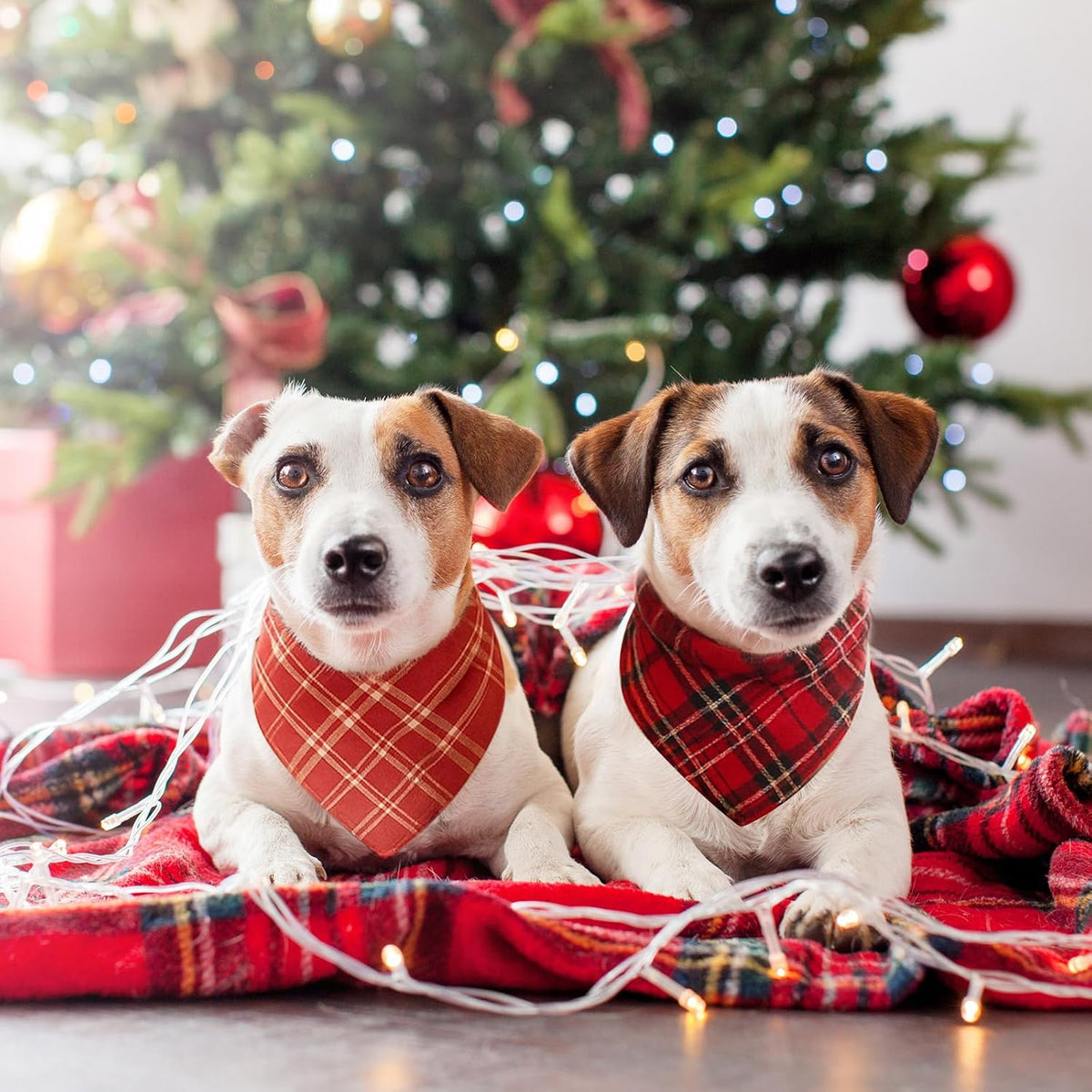 100 Pcs Christmas Dog Bandanas Bulk Xmas Red Plaid Bandanas Soft Triangle Bibs Adjustable Scarf for Small Medium Large Pets