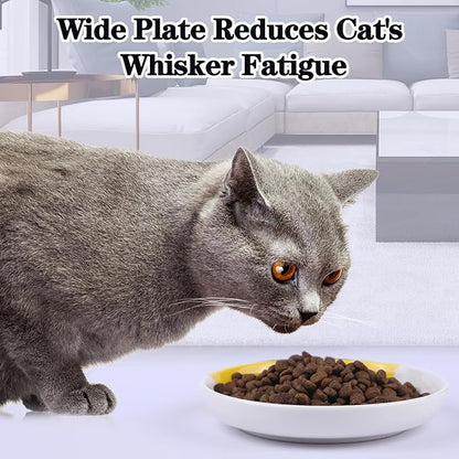 Cat Food Bowl, Healthy Ceramic Cat Food and Water Bowl for Indoor Cat, Puppies, Anti Whiskers FatigueCat Dishes Set, Shallow Cat Food Dish for Wet Food, Cat Treat Plate, Dishwasher Safe, 5 Pcak