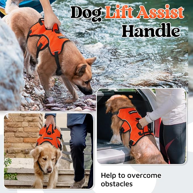 rabbitgoo Escape Proof Dog Harness for Large, No Pull with Lift Handle | No Escape, Full Soft Padded, Reflective Adjustable Vest, Leash Clip for Walking Hiking Training, Orange, Large