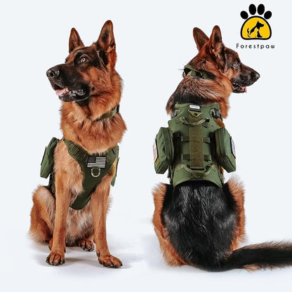 Forestpaw Tactical Dog Harness for Medium Dogs,Tactical Dog Collar with Bungee Leash Set,No Pull Military Dog Harness for Walking Training,Adjustable for Medium Dogs,Green,Chest 22-35"