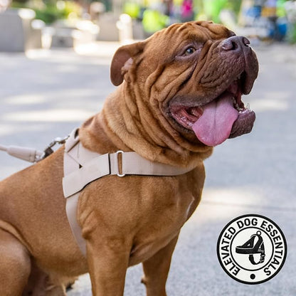 Dog Friendly Co. Dog Harness for Small Dogs (Brown, Extra Small) | One Click Buckle, Chafe Resistant Webbing, Adjustable Neck & Chest, and Heavy Duty D-Ring, Sturdy Comfortable and Easy to Use