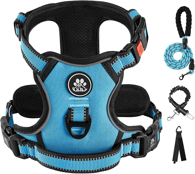 IVY&LANE No Pull Dog Harness for Small Dogs, Dog Vest Harness with Leash, Safety Belt and Storage Strap, Fully Adjustable Harness, 360° Reflective Strip, Soft Handle (Blue, XS)