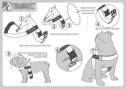 Adjustable Dog Harness– No Pull, No Choke – for English Bulldogs, French Bulldogs, Pugs & Broad-Chested Breeds – Easy, Safe Walks (Skull, Large)