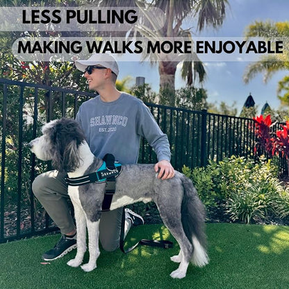 ShawnCo Essential Pro Dog Harness, No-Pull Pet Vest with 3 Leash Clips and Removable, Reflective Side Patches, Adjustable and Padded Harness for Small, Medium and Large Dogs (Orchid, XL)