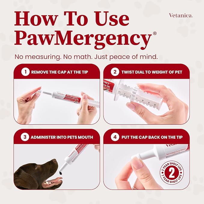 PawMergency – Activated Charcoal First Aid Kit Emergency Rescue 3 Pack for Dogs, Cats, Puppy & Pet Poison Kit, Camping Survival Remedy Essential, Oral Anti Diarrhea Digestive Absorb Toxins
