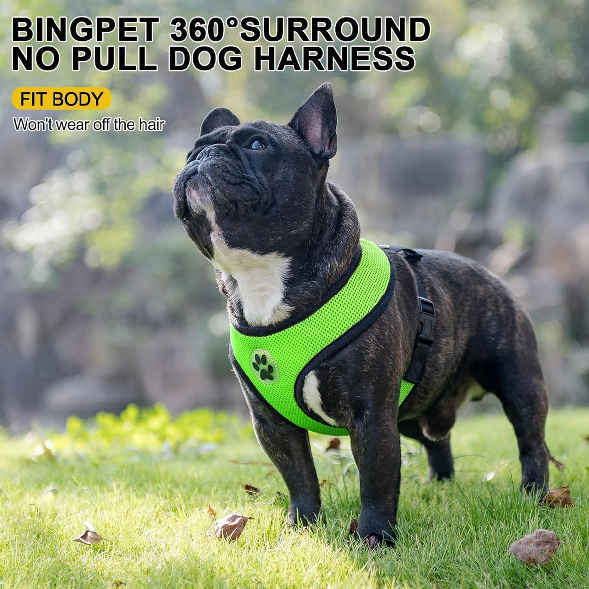 BINGPET No Pull Dog Harness,Soft Mesh Breathable All Weather Vest Harness,Safety Protection Design Durable Adjustable Step-in Easy Walk Dog Harness for Small Medium Large Dogs(Green,M)