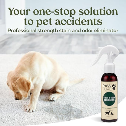 PAWFUME Stain & Pet Urine Odor Eliminator, 1-Pack | Enzymatic quick-dry formula with eco-friendly ingredients for upholstery, fabrics and Carpet Cleaner Spray use