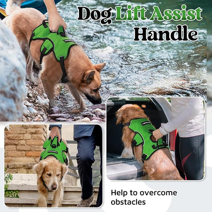rabbitgoo Escape Proof Dog Harness for Large, No Pull with Lift Handle | No Escape, Full Soft Padded, Reflective Adjustable Vest, Leash Clip for Walking Hiking Training, Green, Large