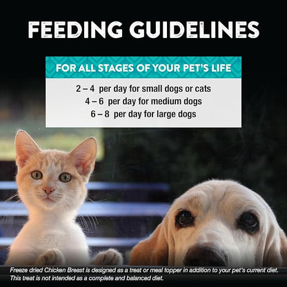 Northwest Naturals Raw Rewards Freeze-Dried Chicken Breast Treats for Dogs and Cats - Bite-Sized Pieces - Healthy, 1 Ingredient, Human Grade Pet Food, All Natural, Proudly Made in USA, 10 Oz