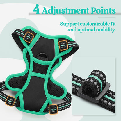 rabbitgoo Dog Harness No Pull with 2 Leash Clips, Adjustable Soft Padded, Reflective Oxford No Choke Pet Vest with Easy Control Handle for Puppy, Black & Turquoise, XS
