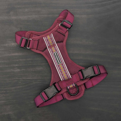 Wilderdog Lightweight Dog Harness with Reflective Straps - Small - Huckleberry