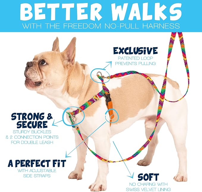 2 Hounds Design Freedom No Pull Dog Harness and Leash, 1" XL, Red | Promotes Easy Walking & Comfortable Control, Adjustable Harness and Leash Set for Extra Large Sized Dogs, Made in USA