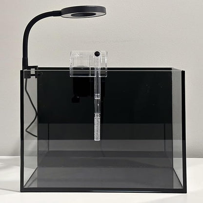 Nano Aquarium Kit 2.2 Gallon, Rimless Glass Betta Fish Tank with Filter & LED Light, 12" x 6" x 8" Small Desktop Fish Tank for Home Office