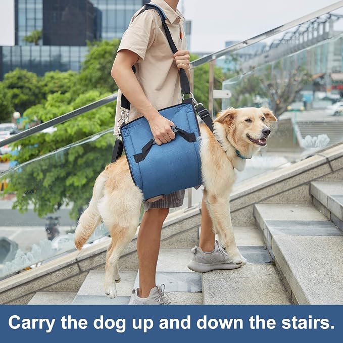 COODEO Dog Carry Sling, Emergency Backpack Pet Legs Support & Rehabilitation Dog Lift Harness for Nail Trimming, Dog Carrier for Senior Dogs Joint Injuries, Arthritis, Up and Down Stairs (L, Blue)