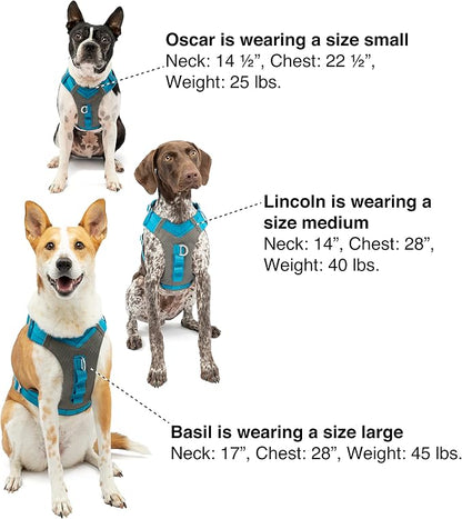 Kurgo Journey Air Dog Harness, Orange, Medium | Padded Chest, Ripstop Outer & Breathable Mesh, Back Assist Handle, Rust-Free Aluminum Hardware, Reflective Trim