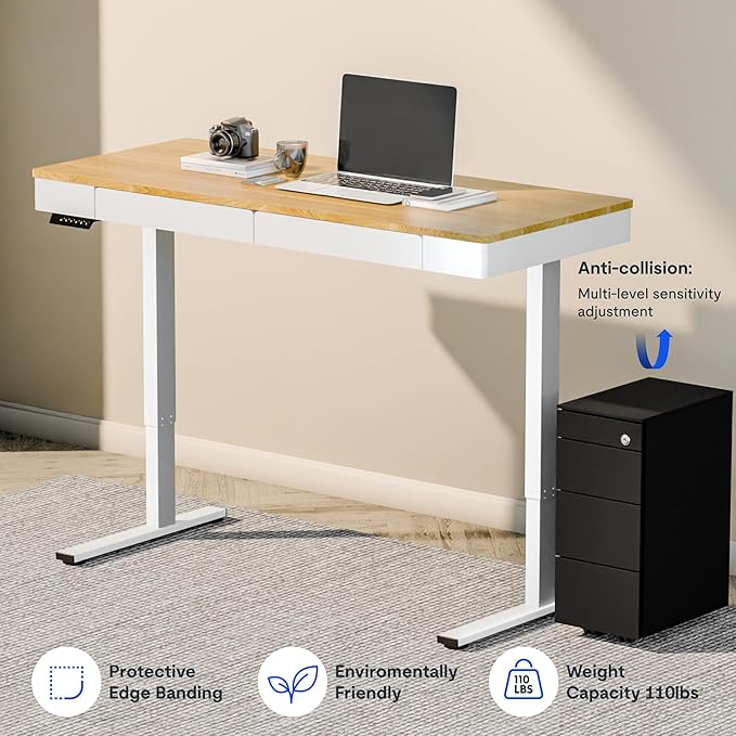 FLEXISPOT Q5 Standing Desk