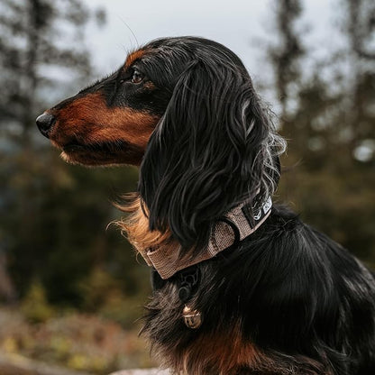 Beau's Bells V2 | Cat & Dog Collar Bells with New Quick Loop Easy Release Clip | Handmade Copper | Track Your Pet | Protect Wildlife