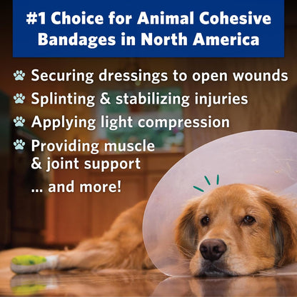 PetFlex Pet Pack – Flexible Self-Adhering Elastic Bandage for Wound Care – First Aid Wrap for Small Animals Like Dogs, Cats, and Other Pets - 2 inch, 36 Rolls