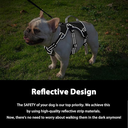 Escape Proof Dog Harness, Dachshund Harness, Reflective Dog Harness with Handle, Durable,Adjustable Vest for Small Medium Large Dogs Walking, Training, and Running Gear (Black,M)