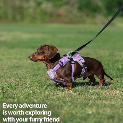 Escape Proof Dog Harness, Dachshund Harness, Reflective Dog Harness with Handle, Durable,Adjustable Vest for Small Medium Large Dogs Walking, Training, and Running Gear (Lavender Purple,M)