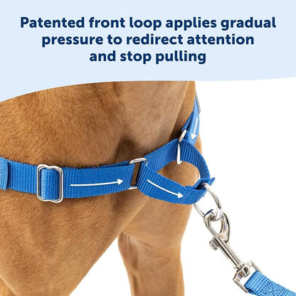 PetSafe Easy Walk Harness for Dogs - Pull-Free Walks - Patented Martingale LoopDesign-Front Chest Leash Attachment - Comfort Straps-Breathable Harness Design-Small,Charcoal/Black (Pack of 3)
