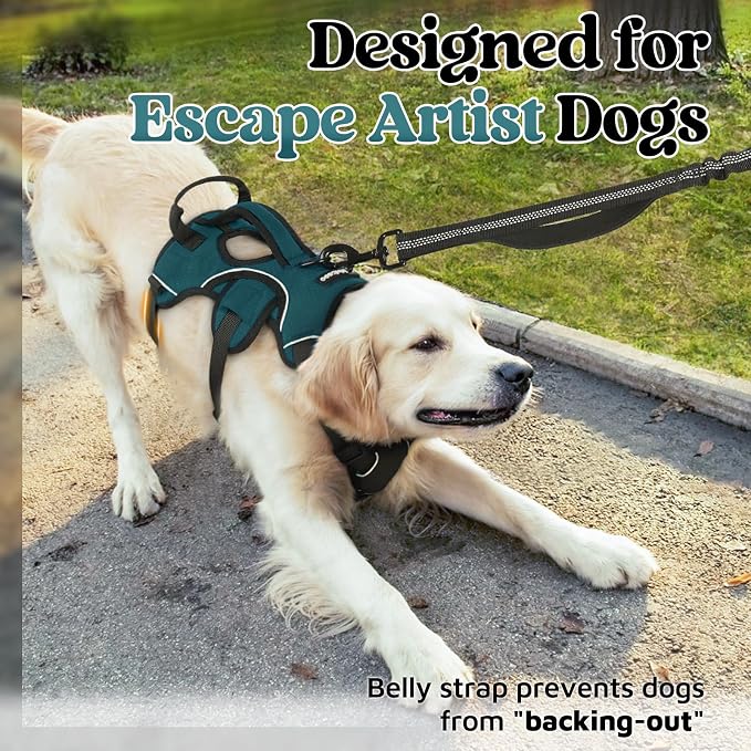 rabbitgoo Escape Proof Dog Harness for Medium, No Pull with Lift Handle | No Escape, Full Soft Padded, Reflective Adjustable Vest, Leash Clip for Walking Hiking Training, Dark Green, Medium