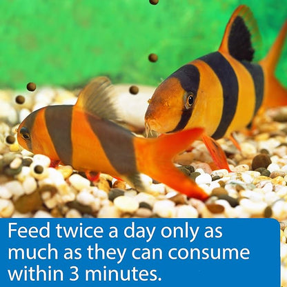 API Bottom Feeder PELLETS with Shrimp Fish Food 1.3-Ounce Container (Pack of 2)