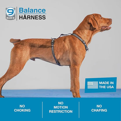 Blue-9 Reflective Buckle-Neck Balance Harness, Fully Customizable Fit No-Pull Harness with 3M Reflective Stitching, Ideal for Dog Training and Obedience, Made in The USA, Grey, Medium/Large