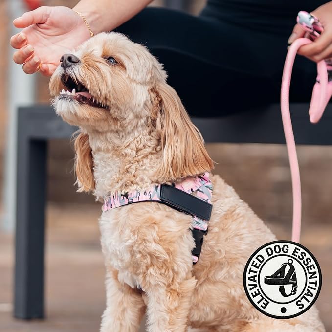 Dog Friendly Co. Dog Harness for Small Dogs (Pink Camo, Small) | One Click Buckle, Chafe Resistant Webbing, Adjustable Neck & Chest, and Heavy Duty D-Ring, Sturdy Comfortable and Easy to Use