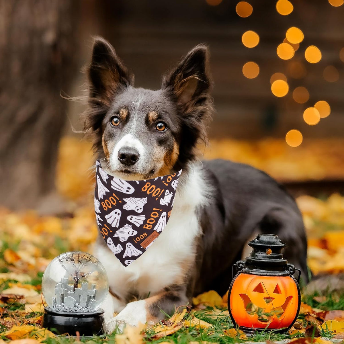 PTDECOR Halloween Dog Bandana, Reversible Holiday Pet Scarf, Multi Size, Triangle Puppy Halloween Bandanas for Medium Large Dogs Pets (Black & Orange, Large)