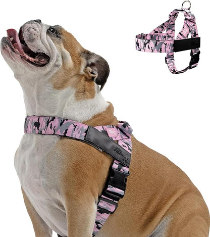 Dog Friendly Co. Dog Harness for Small Dogs (Pink Camo, XXSmall) | One Click Buckle, Chafe Resistant Webbing, Adjustable Neck & Chest, and Heavy Duty D-Ring, Sturdy Comfortable and Easy to Use