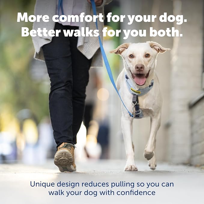 PetSafe Easy Walk Comfort No Pull Dog Harness, Blue, Extra Small | Stops Pulling on First Use with Front Martingale Loop, Full-Body Padding, 5-Point Adjustable Fit