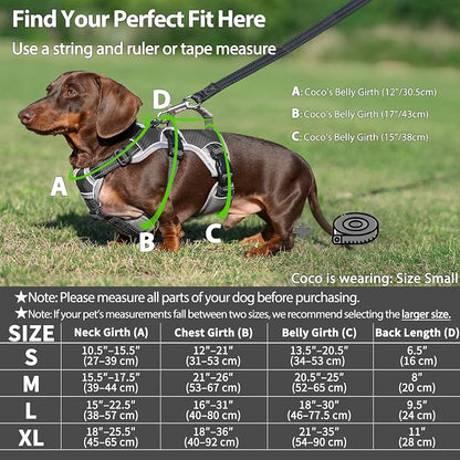 Escape Proof Dog Harness, Dachshund Harness, Reflective Dog Harness with Handle, Durable,Adjustable Vest for Small Medium Large Dogs Walking, Training, and Running Gear (Black,M)
