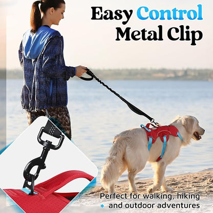 rabbitgoo Escape Proof Dog Harness for Large, No Pull with Lift Handle | No Escape, Full Soft Padded, Reflective Adjustable Vest, Leash Clip for Walking Hiking Training, Sky Blue & Red, Large