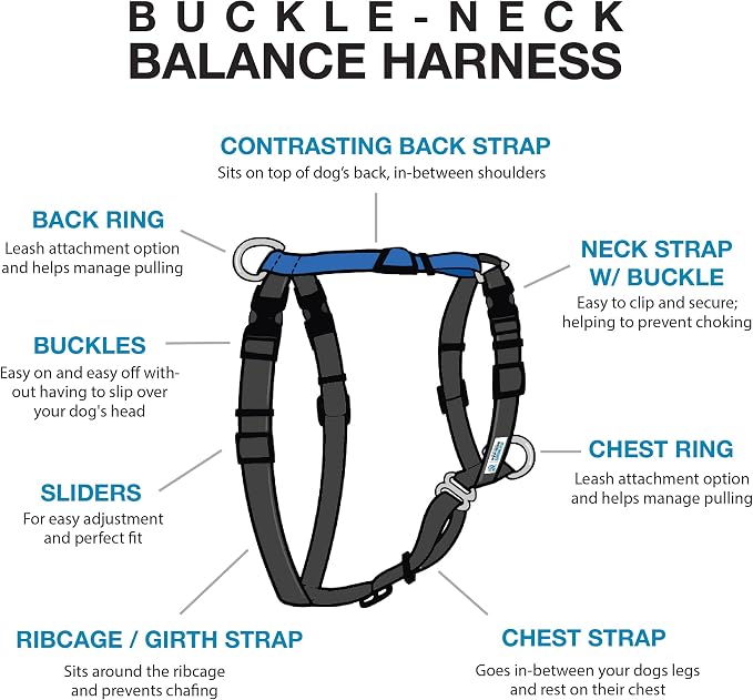Blue-9 Buckle-Neck Balance Harness, Fully Customizable Fit No-Pull Harness, Ideal for Dog Training and Obedience, Made in The USA, Sky Blue, Medium