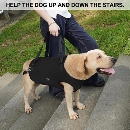 Coodeo Dog Lift Harness, Pet Support & Rehabilitation Sling Lift Adjustable Padded Breathable Straps for Old, Disabled, Joint Injuries, Arthritis, Loss of Stability Dogs Walk (Black, XL)