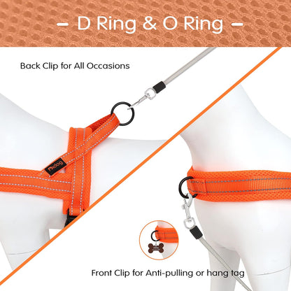 Didog No Pull Dog Harness with Soft Mesh Padded,Reflective & Quick Fit Light Weight Dog Strap Vest Harness,Easy for Walking Training (M:Chest 21-26", Orange)