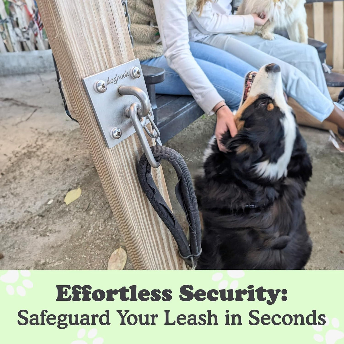 Canine Hitch. Chosen for real quality, not just packaging.