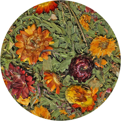 Pasture Plus+ Dandelion Delicacy - Healthy Natural High-Fiber Dried Flower Treat - Squirrels, Guinea Pigs, Rabbits, Chinchillas, Prairie Dogs, Degus, Hamsters, Gerbils & Other Small Pets